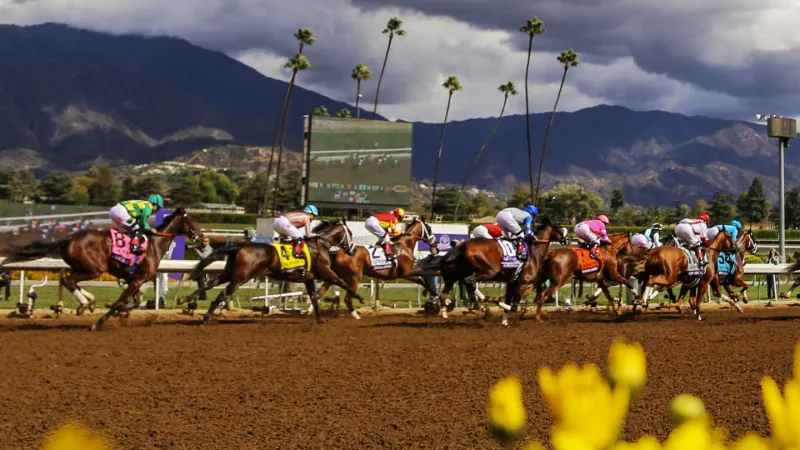 أشهر مضامير سباقات الخيول ..هل زرت إحداها؟ (صور)