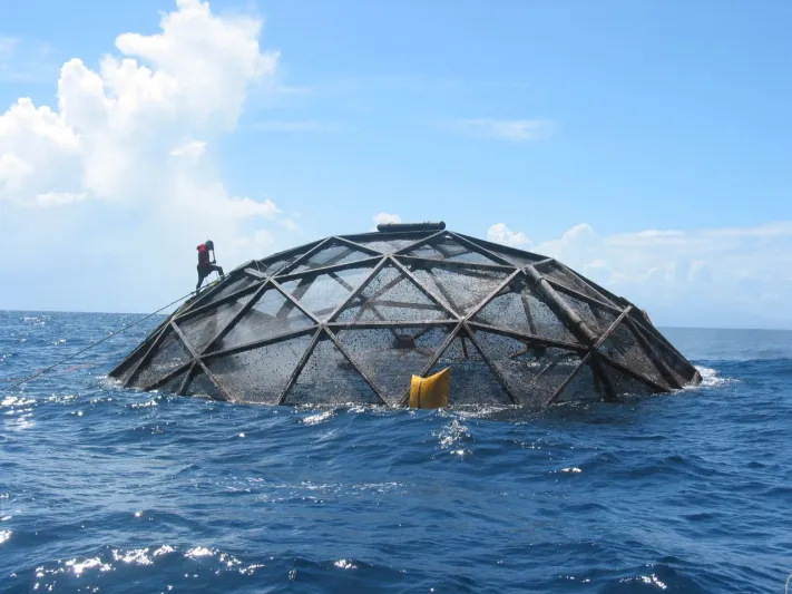 فيديو| «فيش فارم».. أحدث مشروع في دبي