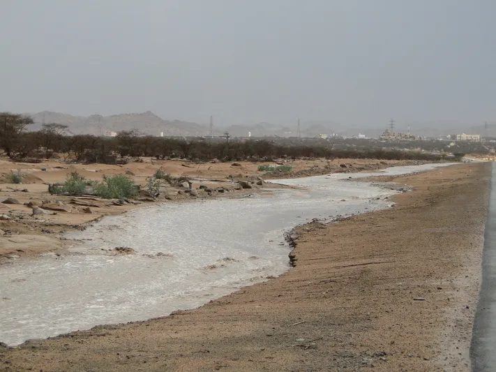 فيديو مؤثر مسن يريد عبور سيل جارف لإنقاذ أبنائه