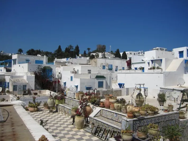 قرية سيدي بو سعيد.. لوحة فسيفسائية بألوان الطبيعة