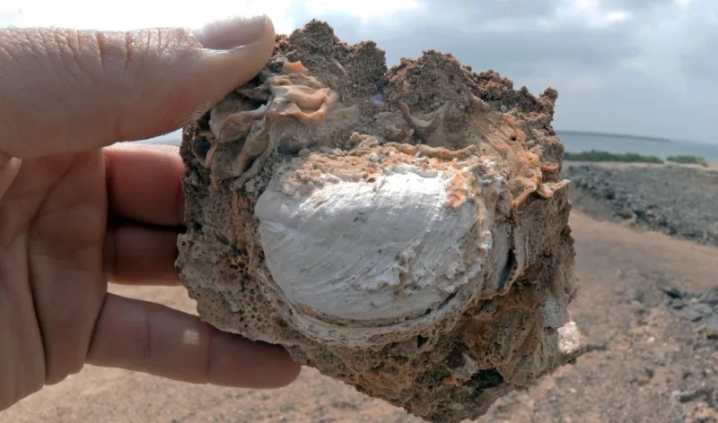 صور تكشف أسرار رحلة أبي بكر الصديق إلى الحبشة