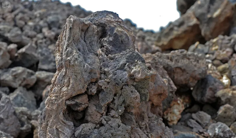 صور تكشف أسرار رحلة أبي بكر الصديق إلى الحبشة