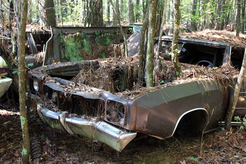 فيديو| يقود سياره متهالكه ووزارة العمل تتفاعل معه