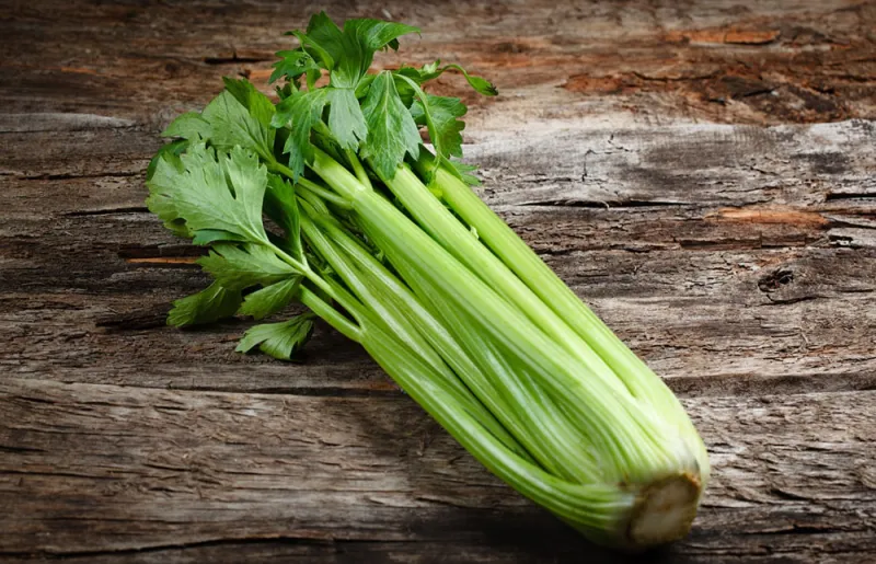 بينها الكرفس والتفاح..تعرف على أطعمة السعرات الحرارية السالبة