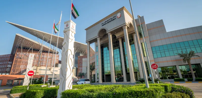 كلبان يشوهان وجه طفل في التاسعة في ابوظبي