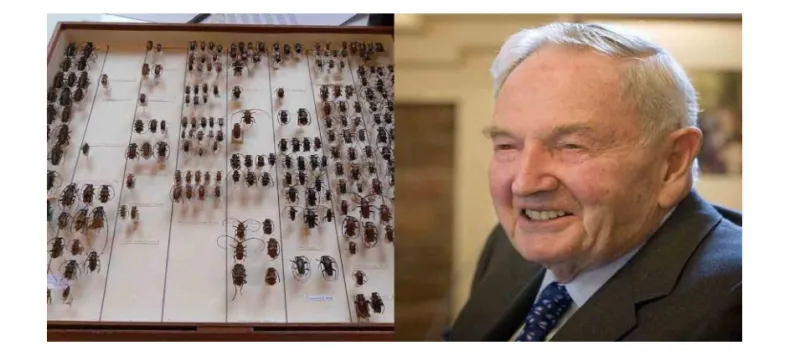 نصائح من آخر أحفاد إمبراطور المال جون روكفلر قبل موته