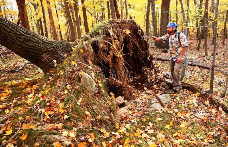اصطنع الموت إذا هاجمك دب واضرب القرش على أنفه.. 5 خرافات قد تسبب وفاتك