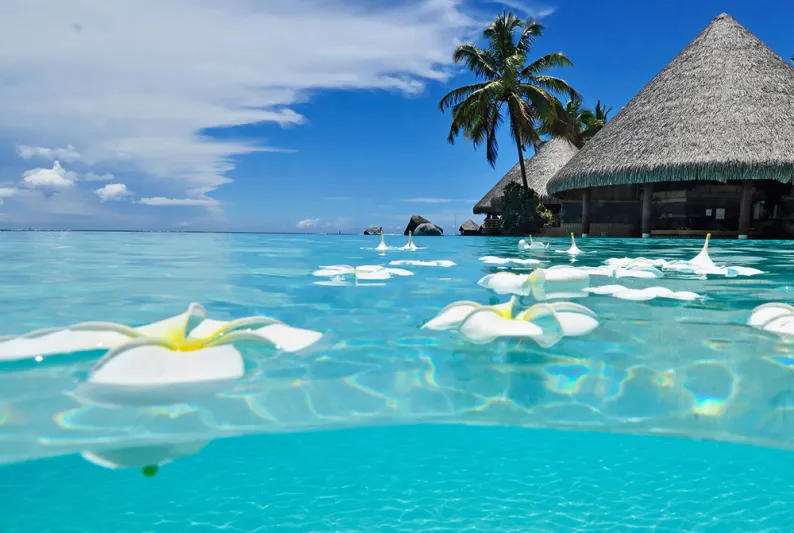 رحلتك وفق أشهر السنة.. المتعة نفسها بتكلفة أقل