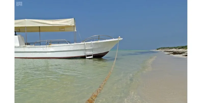 هذه الصور بالسعودية جزر البرك ترسم لوحات خلابة بالماء والطير والمرجان