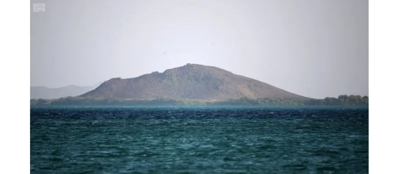 هذه الصور بالسعودية جزر البرك ترسم لوحات خلابة بالماء والطير والمرجان