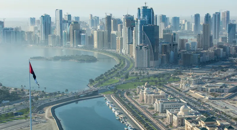 اختناق 162 شخصاً بتسرب غاز في الشارقة