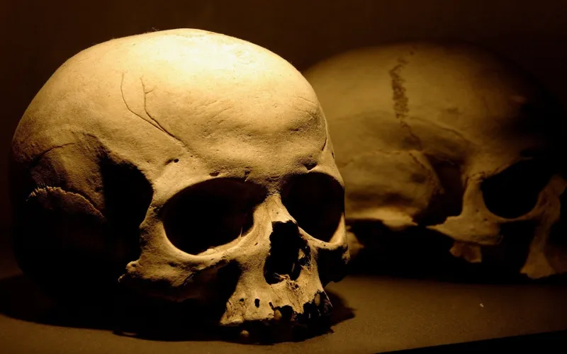 فيديو| جمجمة في مكة عمرها 28 مليون سنة 