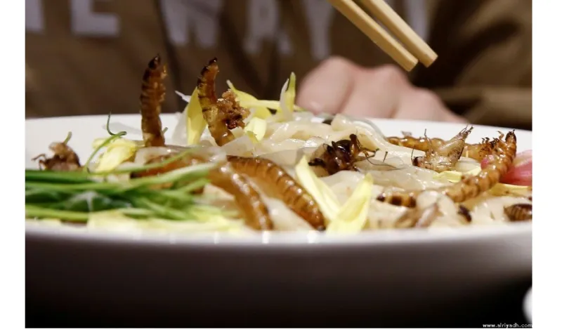 إقبال كبير على مطعم في طوكيو يقدم وجبة معكرونة بالحشرات