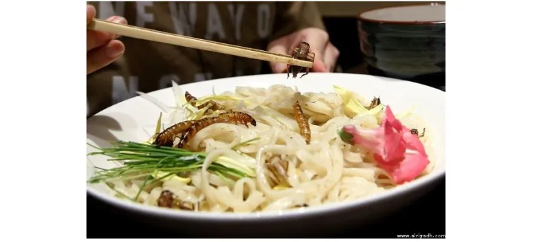 إقبال كبير على مطعم في طوكيو يقدم وجبة معكرونة بالحشرات