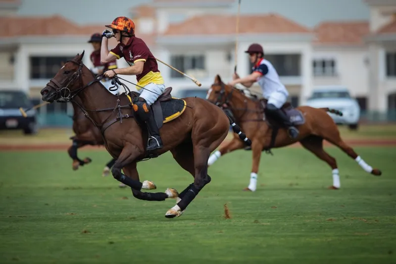 جيجر لوكولتر ونادي الحبتور يشكلان الفريق المثالي  للبولو