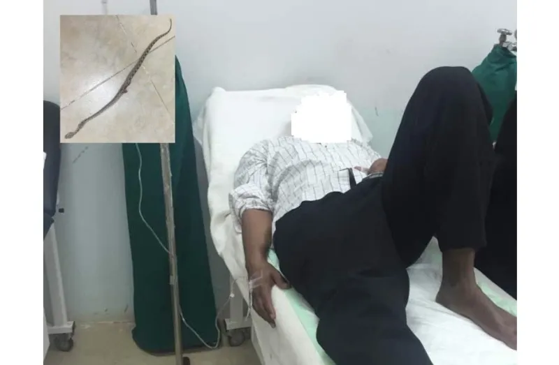 طبيب لدغه ثعبان داخل مستشفى بالرياض فلم يجد أطباء لإنقاذه! (صورة)