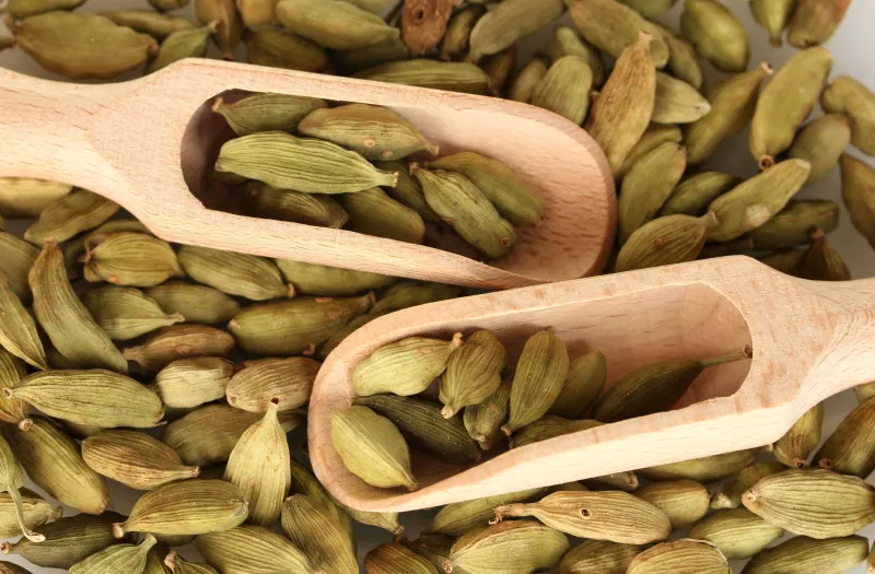 صانع العطور «إيف كاسار» يكشف أسرار عطر Pure Gold Euphoria (صور)