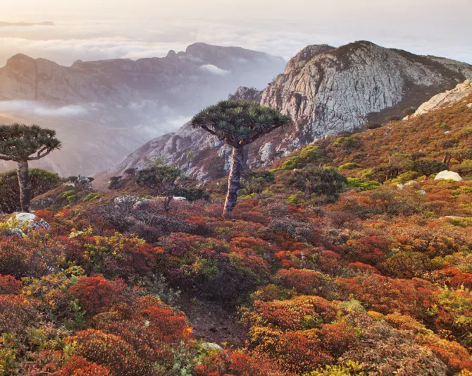 عجائب طبيعية خلابة في عالمنا العربي.. وجهات سياحية رائعة