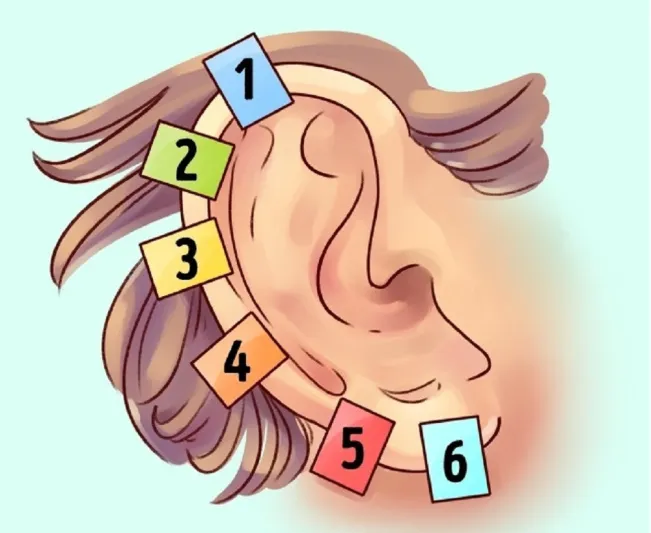 لكل نقطة في أذنك علاقة بصحتك.. دلكها لحل مشاكلك الصحية