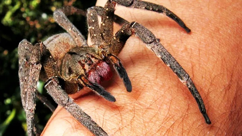 الخوف من أطباء الأسنان والظلام.. 10 أنواع فوبيا تصيب أغلب البشر!