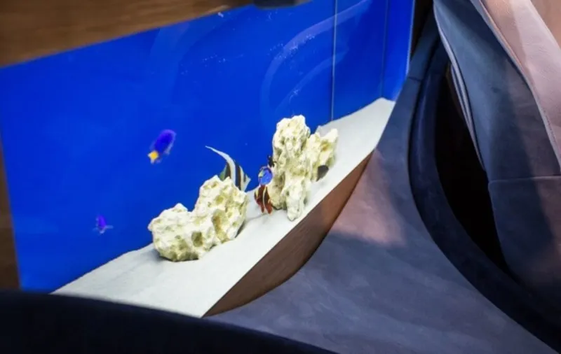 فرانجيفنتو شارلوت.. اقتحم العالم بأول سيارة تحتوي على حوض أسماك