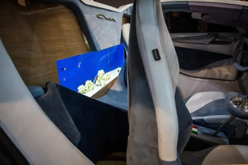 فرانجيفنتو شارلوت.. اقتحم العالم بأول سيارة تحتوي على حوض أسماك