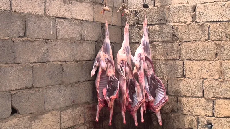 فيديو | توثيق سرقة الذبائح دون علم الزبائن