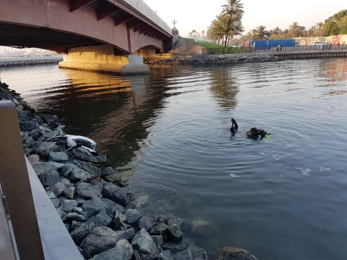 فيديو| لحظة إنقاذ سائق سقطت مركبته في بحيرة خالد