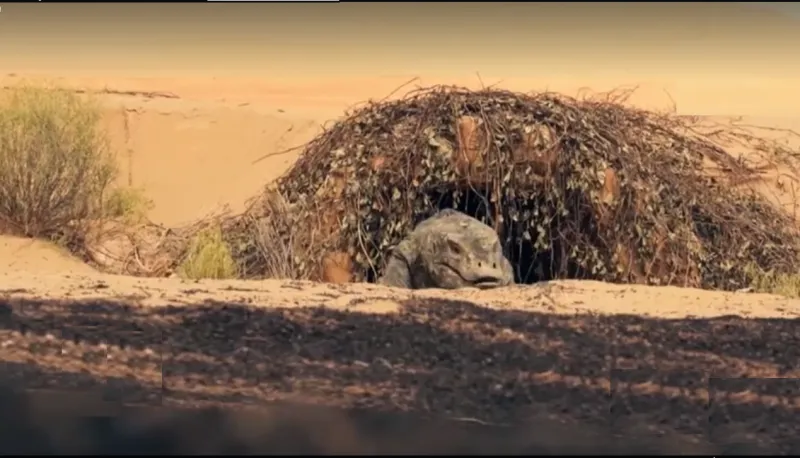 «رامز تحت الأرض».. نظرة تحليلية تكشف لك جوانب خفية (فيديو)