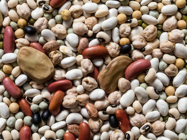 لا حمية ولا تمارين.. هذه أسهل الطرق لخسارة الوزن