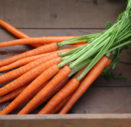 نظف الكبد من السموم في رمضان بتناول تلك الأطعمة على الإفطار