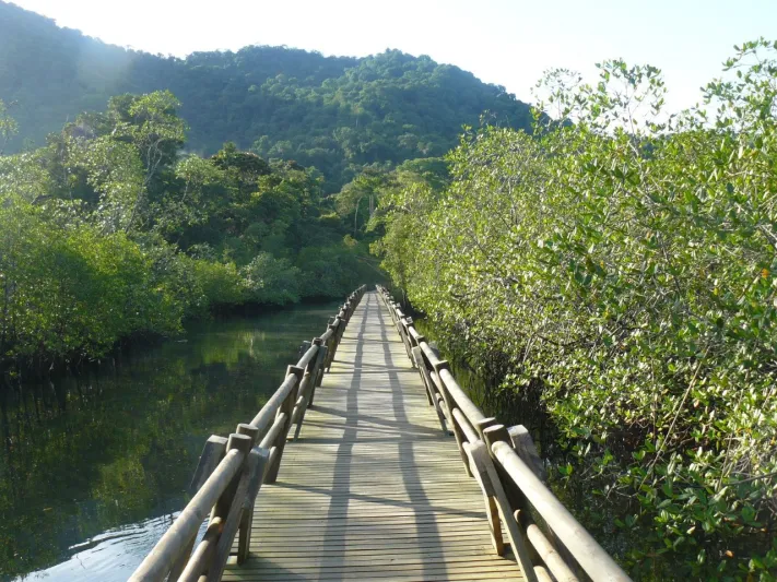 اكتشف كولومبيا.. أجمل الوجهات السياحية في أمريكا الجنوبية