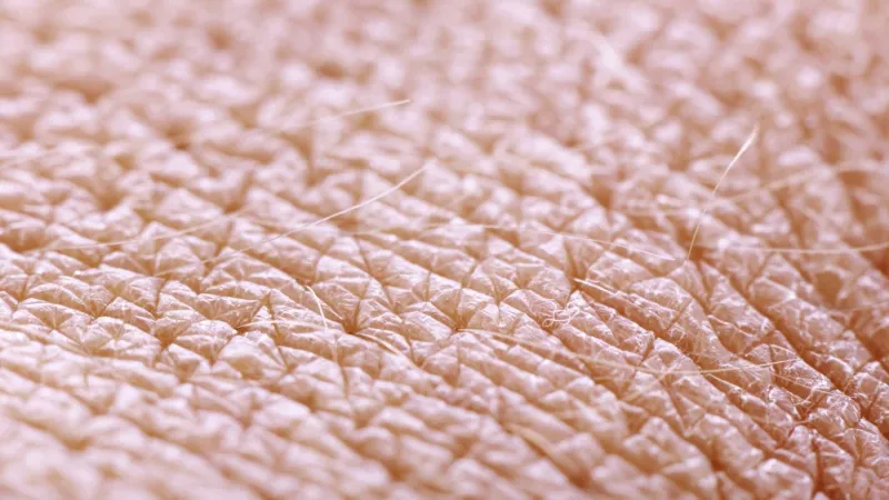 فوائد الصيام الرائعة لأهم أعضاء جسم الإنسان