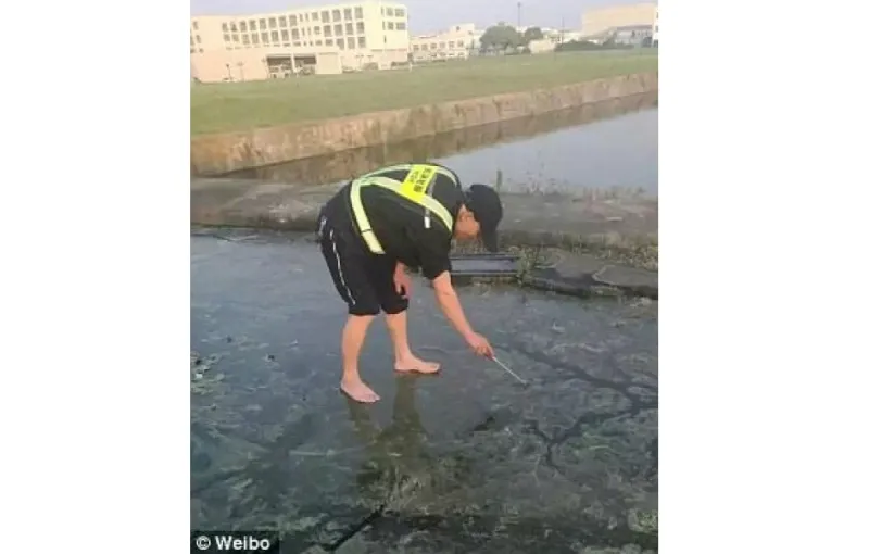 صور| أوقع خاتماً ماسياً في مرحاض الطائرة فكانت النتيجة