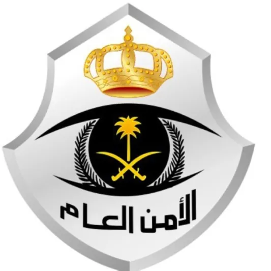 عقوبة صارمة ضد ناشري المواد الإباحية بالسعودية.. «لن يتجرأ على النشر»