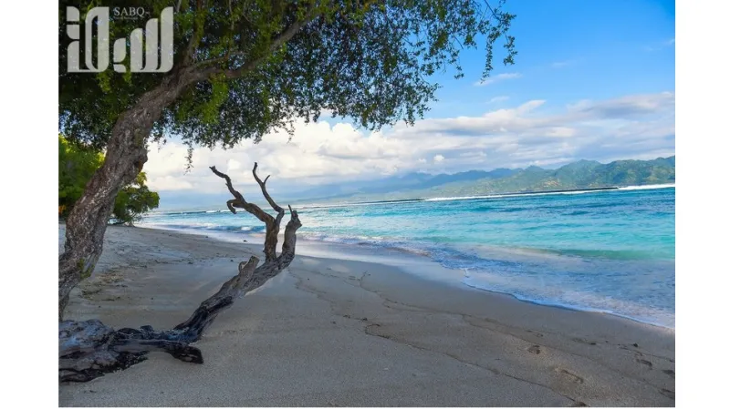 الجزر ذات الاجواء الغريبة والغامضة جزر يأجوج ومأجوج بالصور