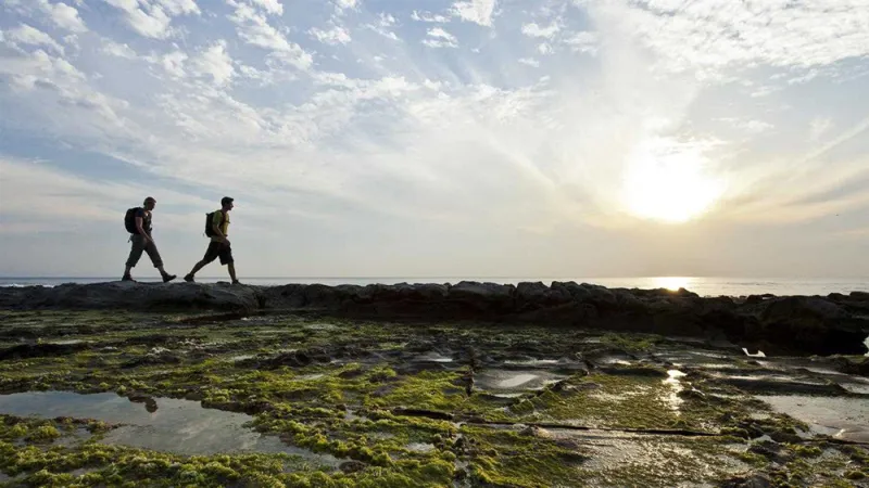 ما الذي تكشفه أحلام اليقظة عنك ؟ 