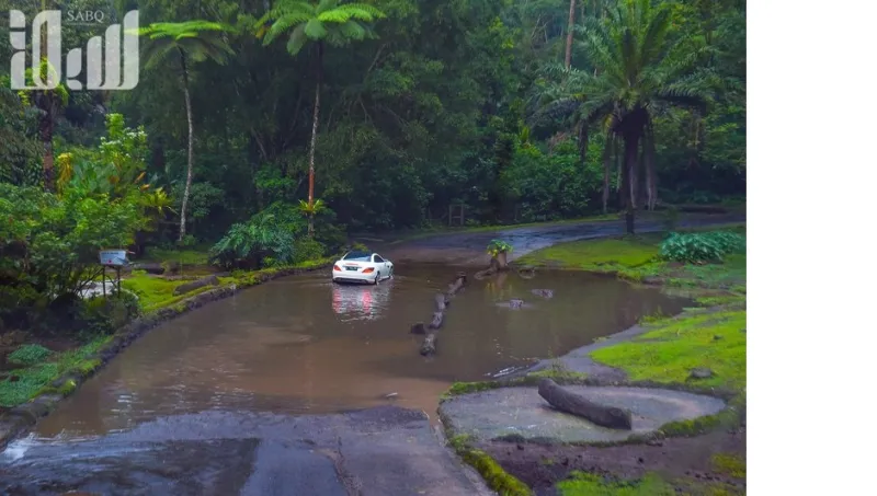 تمان سفاري أكبر سفاري في جنوب شرق آسيا  والتي ينطلق إليها 60 ألف طفل سعودي سنويًا 