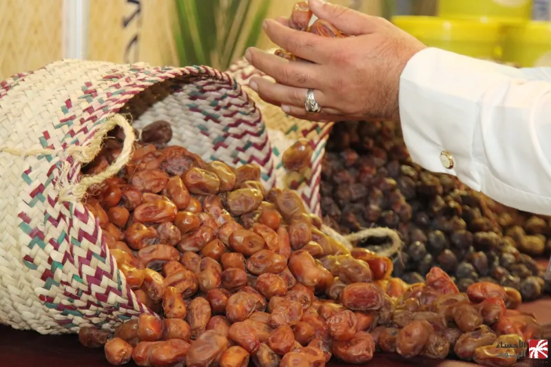 فيديو|تمر كهرمان سعر الكيلو يتعدى الخيال