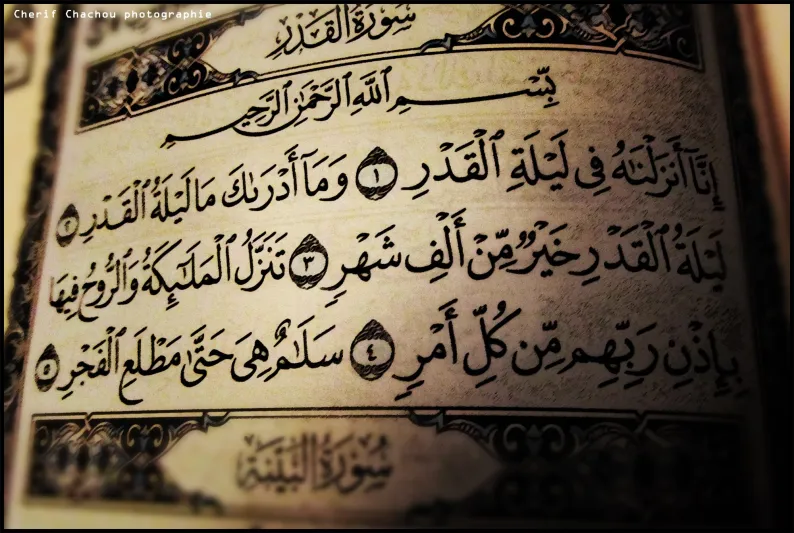 فيديو| دعاء ليلة القدر‎ مؤثر جداً