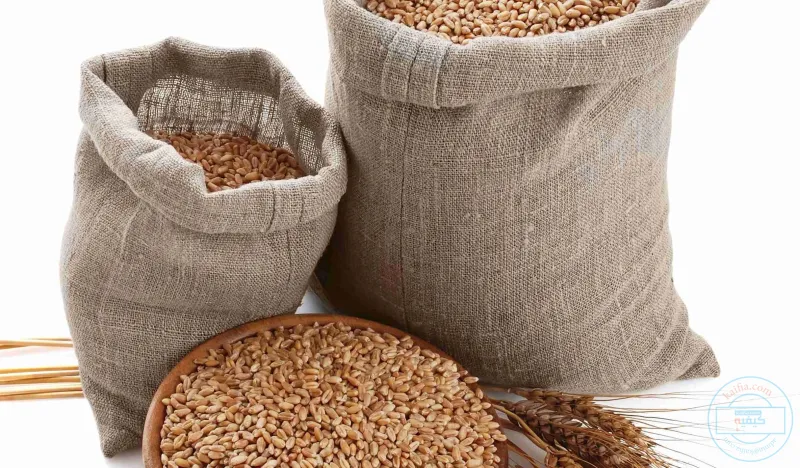 الداعية محمد الغضية يوضح لـ «الرجل» آخر موعد لذكاة الفطر وطريقة صلاة العيد