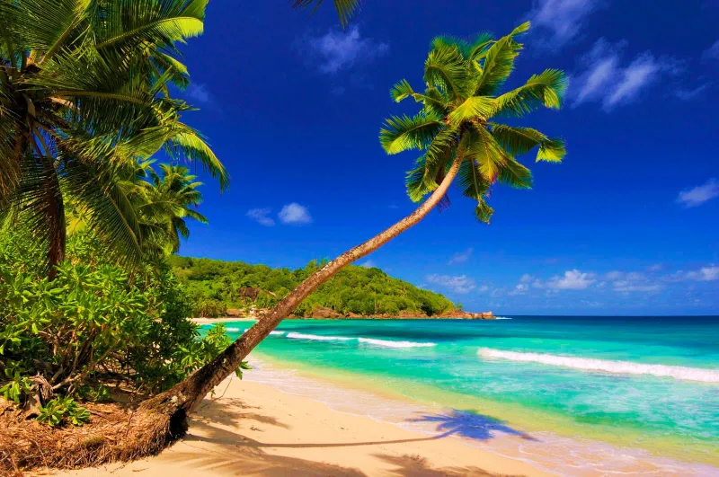 «إل نيدو» و«بالاوان» بالفلبين.. وجهة محبي الشواطئ البيضاء