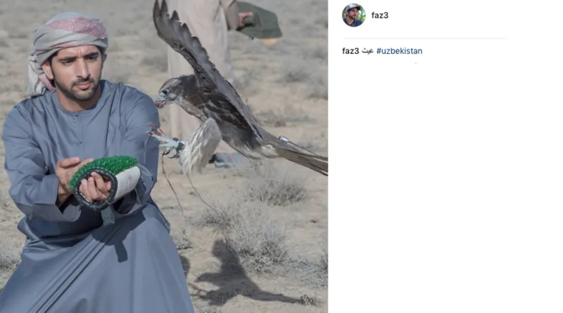 حياة ولي عهد دبي.. كما يرويها لنا على إنستغرام (صور)