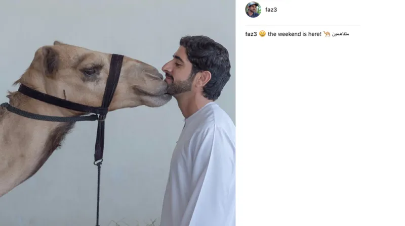 حياة ولي عهد دبي.. كما يرويها لنا على إنستغرام (صور)