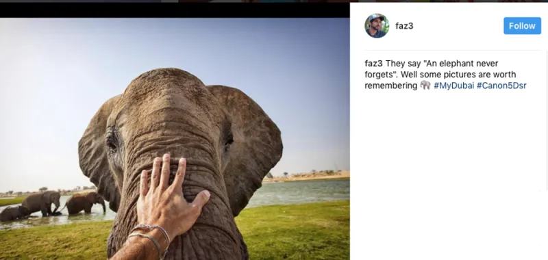 حياة ولي عهد دبي.. كما يرويها لنا على إنستغرام (صور)