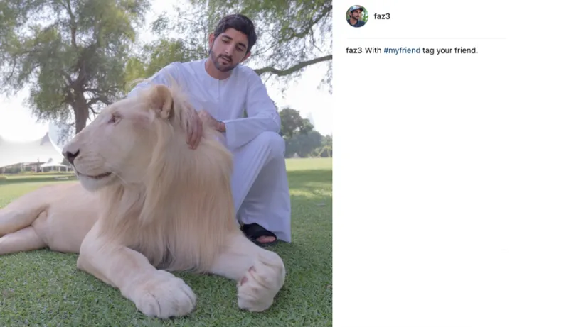 حياة ولي عهد دبي.. كما يرويها لنا على إنستغرام (صور)