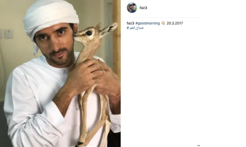 حياة ولي عهد دبي.. كما يرويها لنا على إنستغرام (صور)