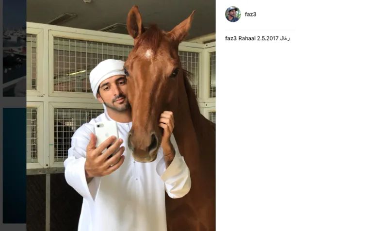 حياة ولي عهد دبي.. كما يرويها لنا على إنستغرام (صور)