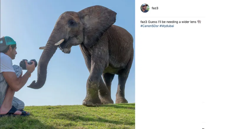 حياة ولي عهد دبي.. كما يرويها لنا على إنستغرام (صور)