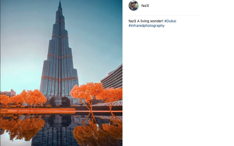 حياة ولي عهد دبي.. كما يرويها لنا على إنستغرام (صور)